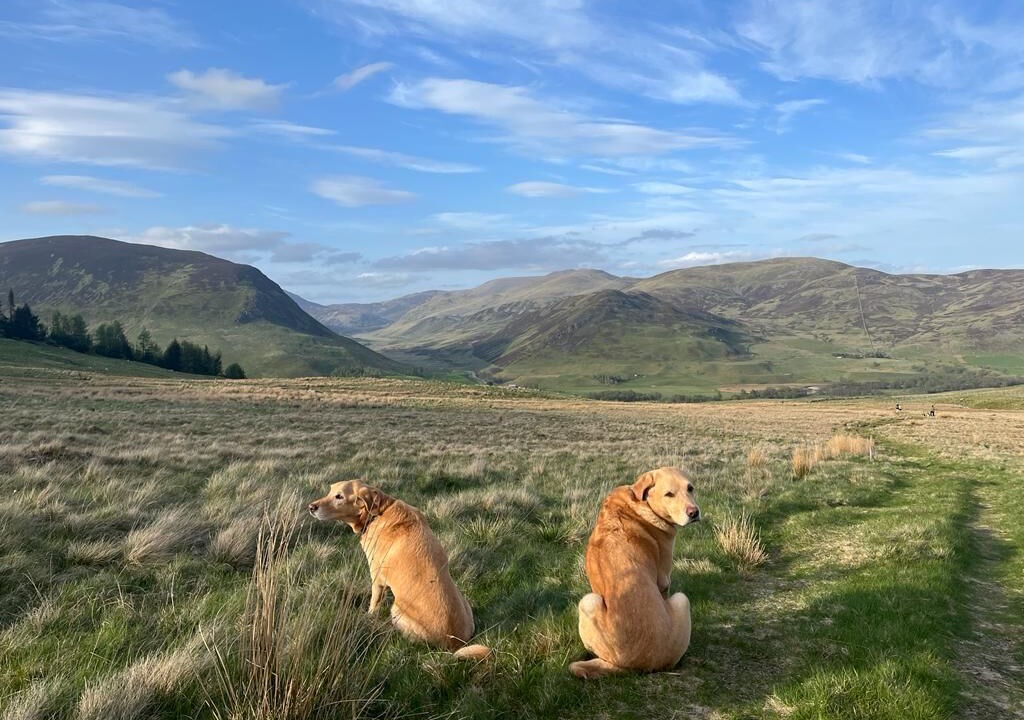 Photo of Others in Spittal of Glenshee
