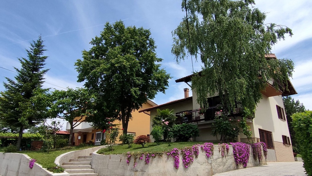 Photo of Outdoor in Brda