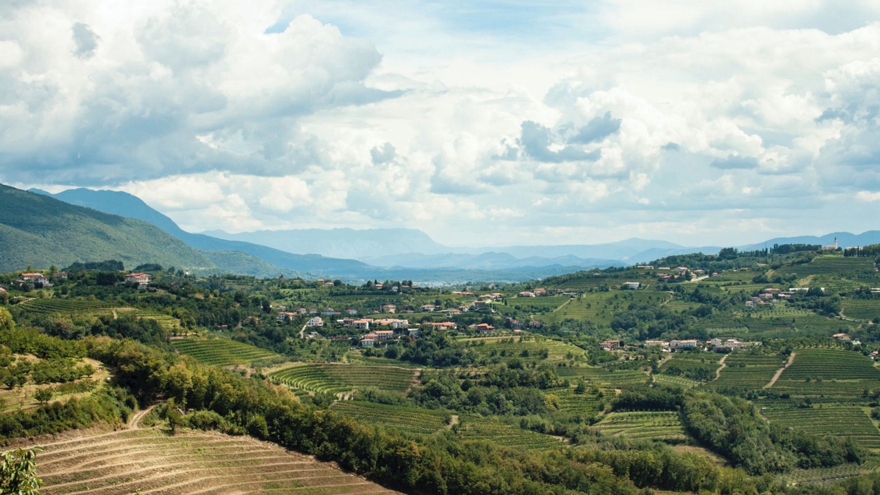 Photo of Others in Brda