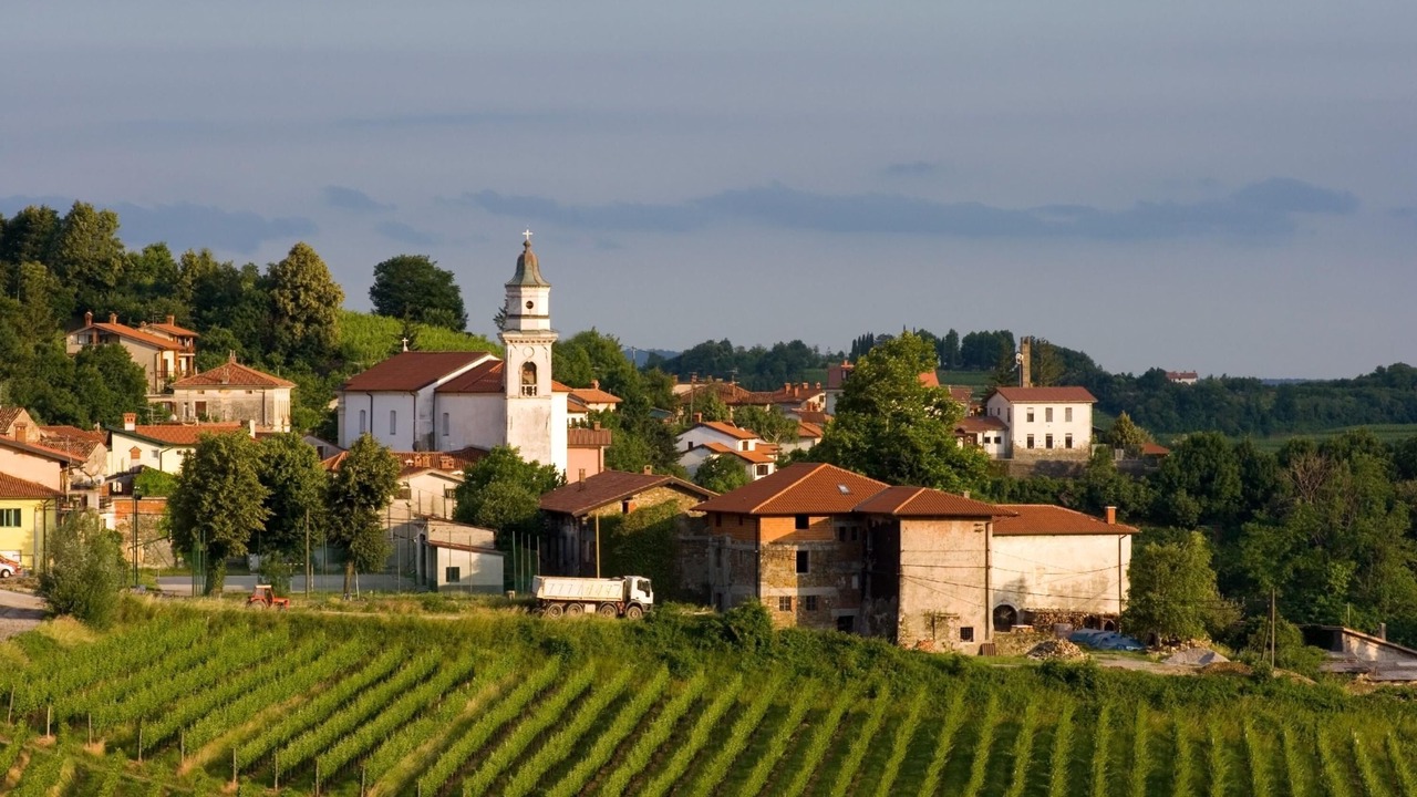 Photo of Outdoor in Brda