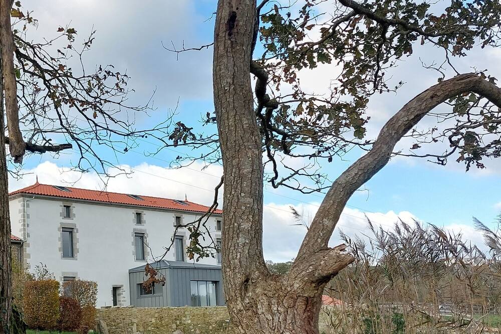 Photo of Outdoor in Le Poire-sur-Vie