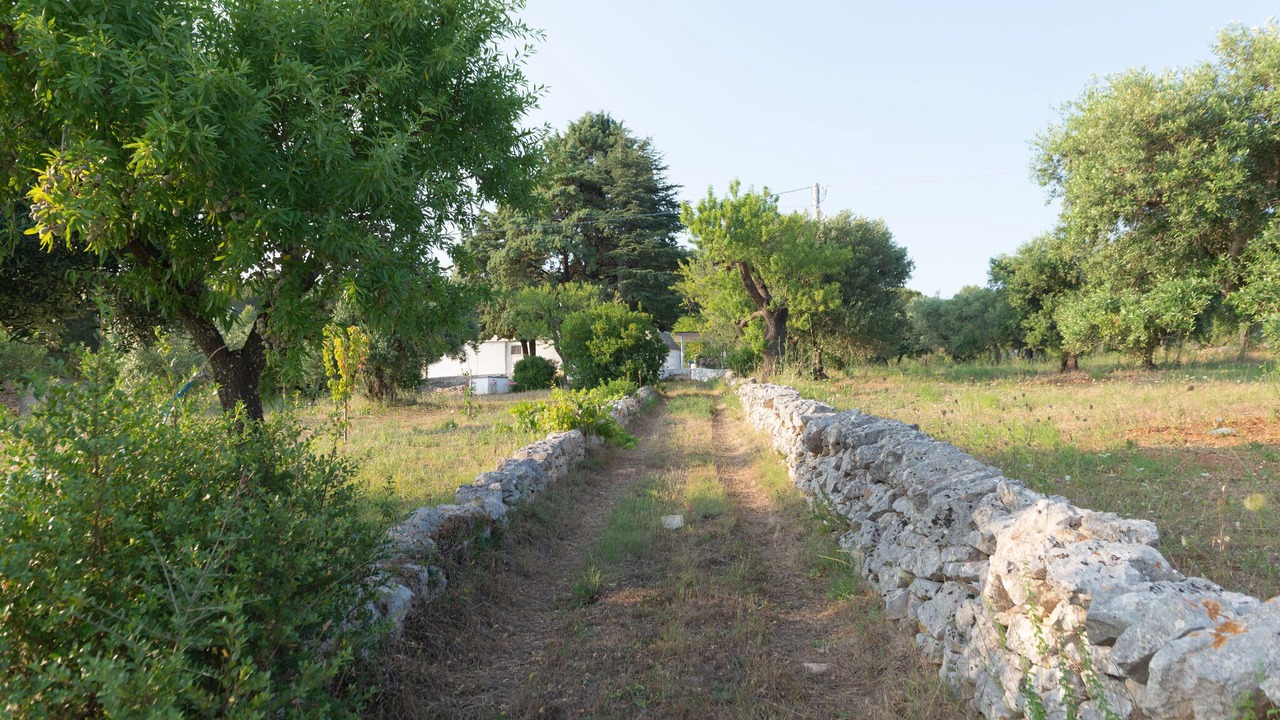Photo of Outdoor in Cisternino