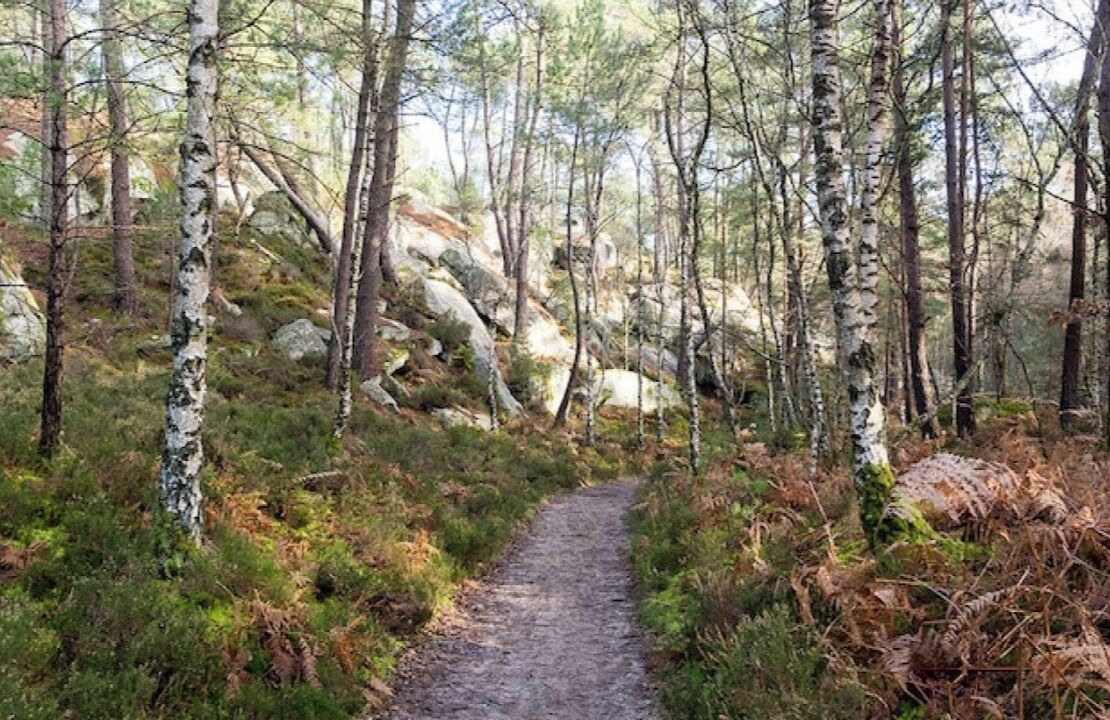 Photo of Others in Villiers-sous-Grez