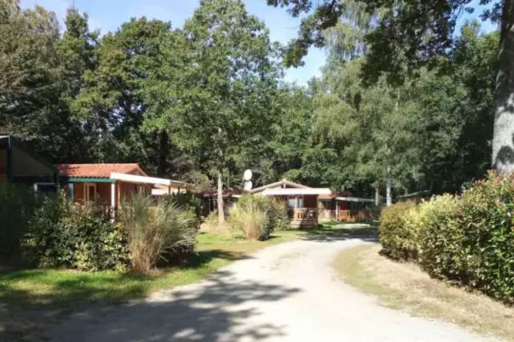Photo of Outdoor in Mesnard-la-Barotiere