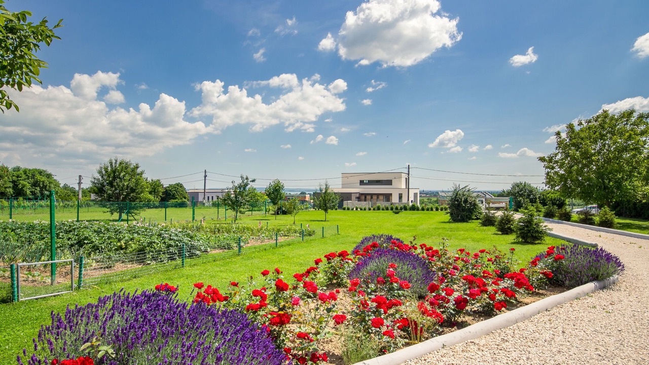 Photo of Outdoor in Cserszegtomaj