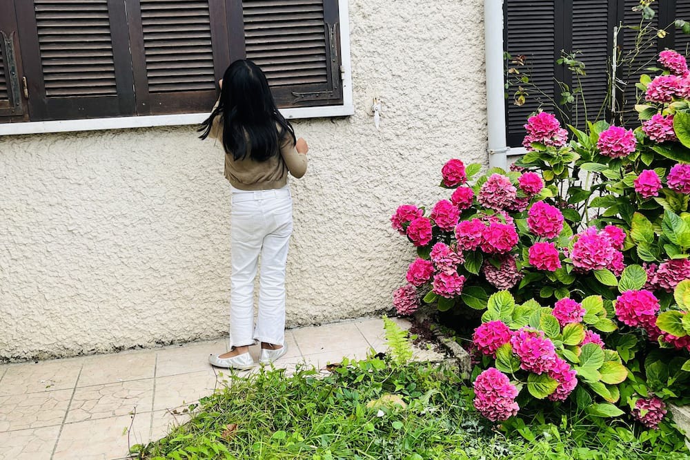Photo of Outdoor in Roissy-en-France