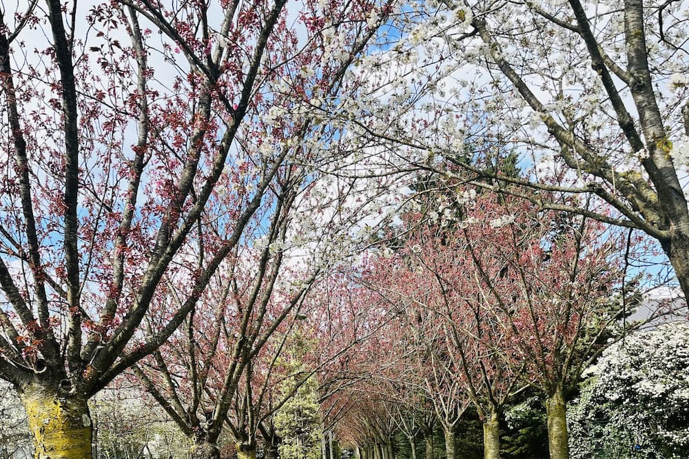 Photo of Outdoor in Roissy-en-France