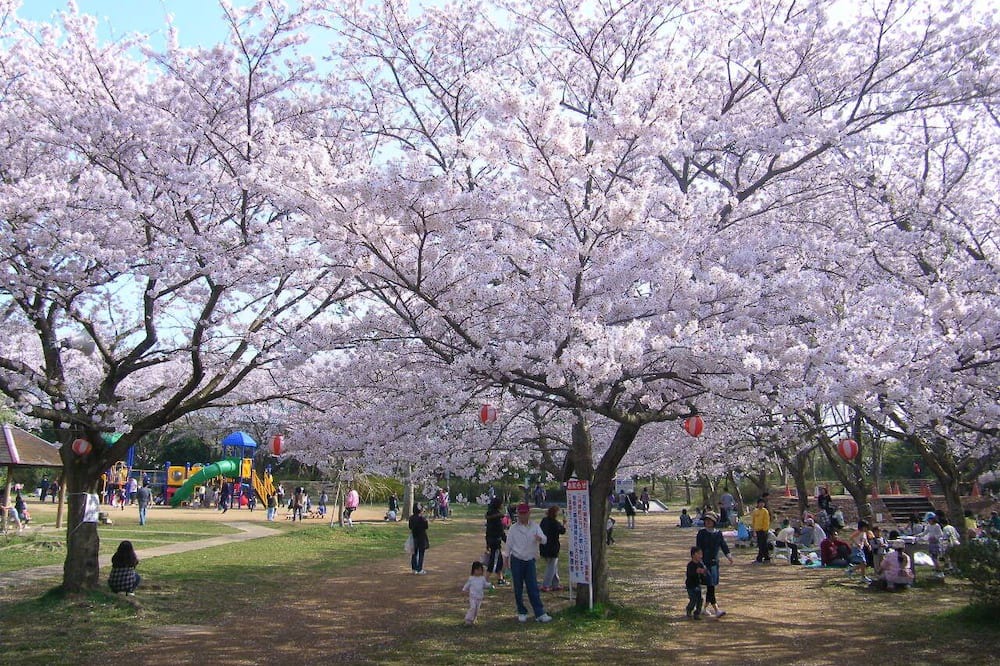 Photo of Outdoor in Kashima