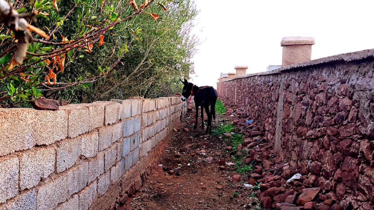 Photo of Outdoor in Telouet