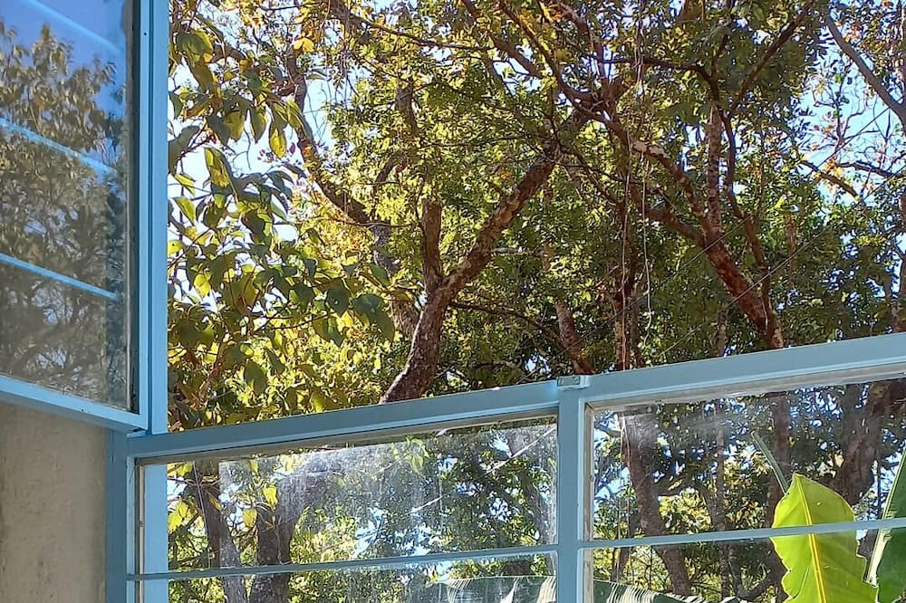 Photo of Outdoor in Sao Jorge