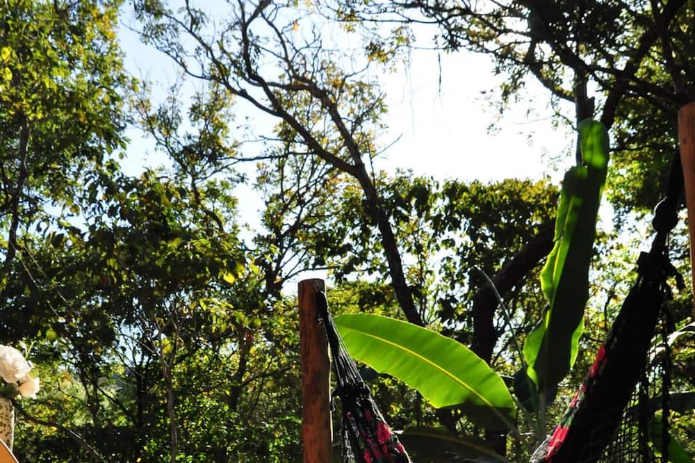 Photo of Outdoor in Sao Jorge