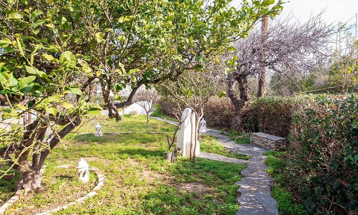 Photo of Outdoor in Vathianos Kampos