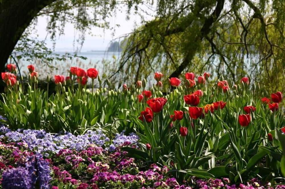 Photo of Others in Konstanz