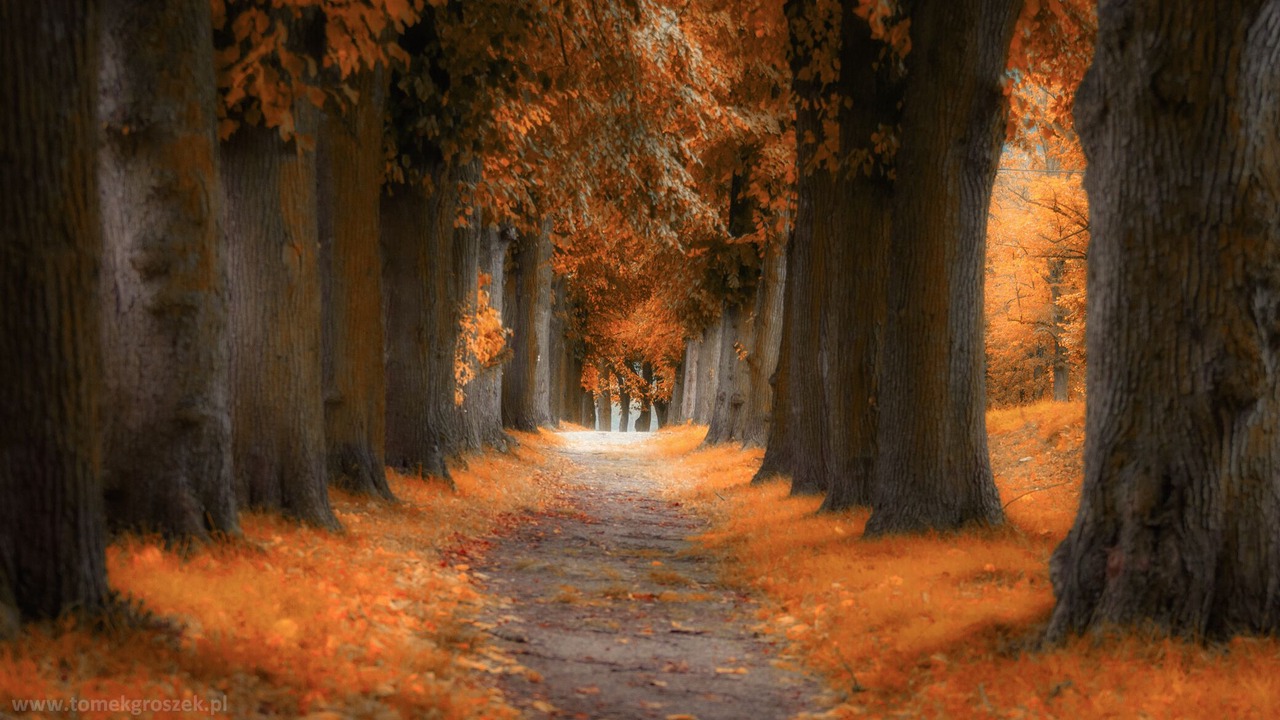 Photo of Outdoor in Radkow