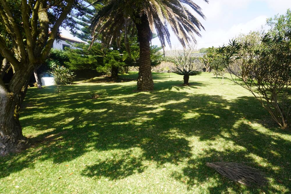 Photo of Outdoor in Porto Judeu