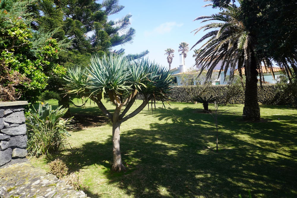 Photo of Outdoor in Porto Judeu