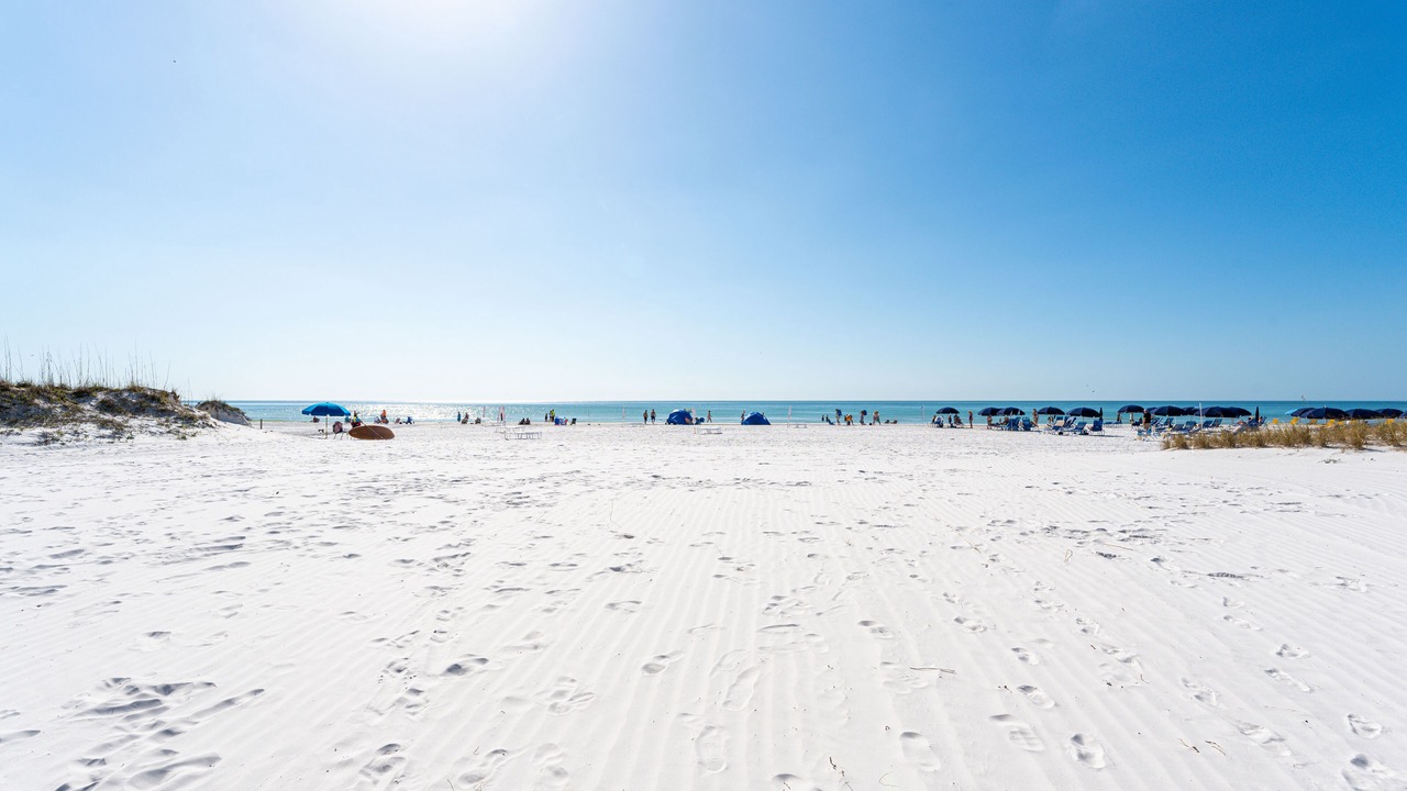 Photo of Others in Siesta Key