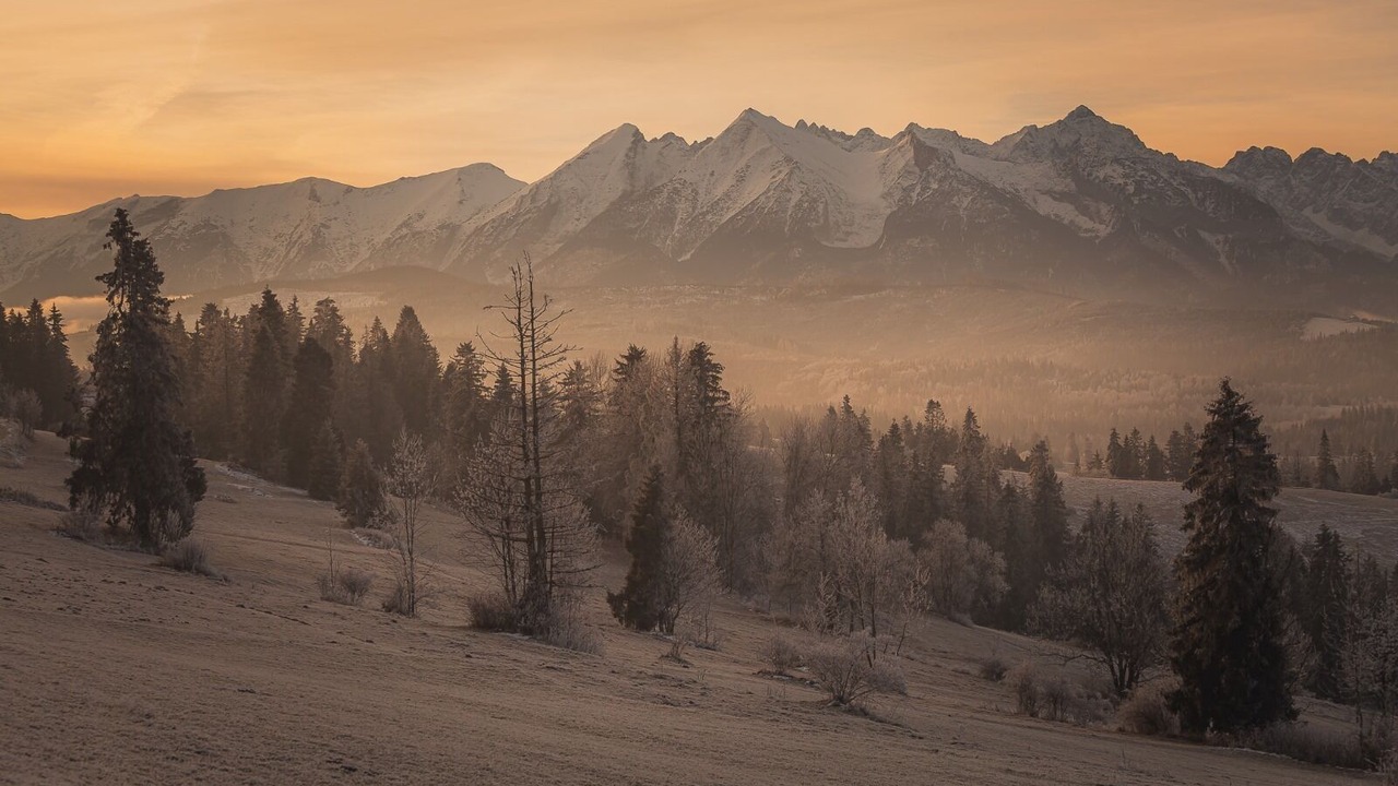 Photo of Others in Rzepiska