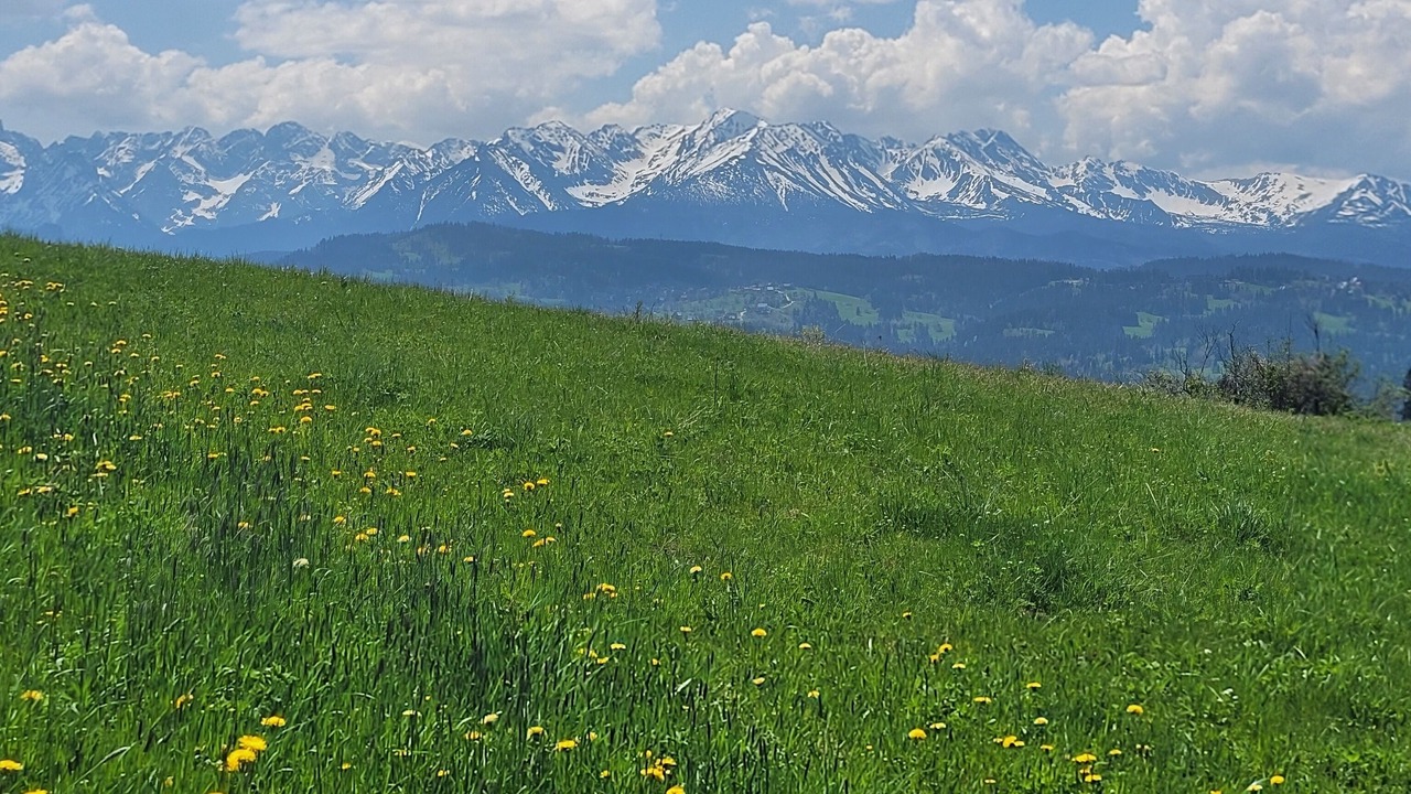 Photo of Others in Rzepiska