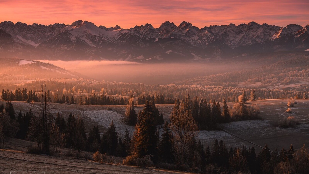 Photo of Outdoor in Rzepiska