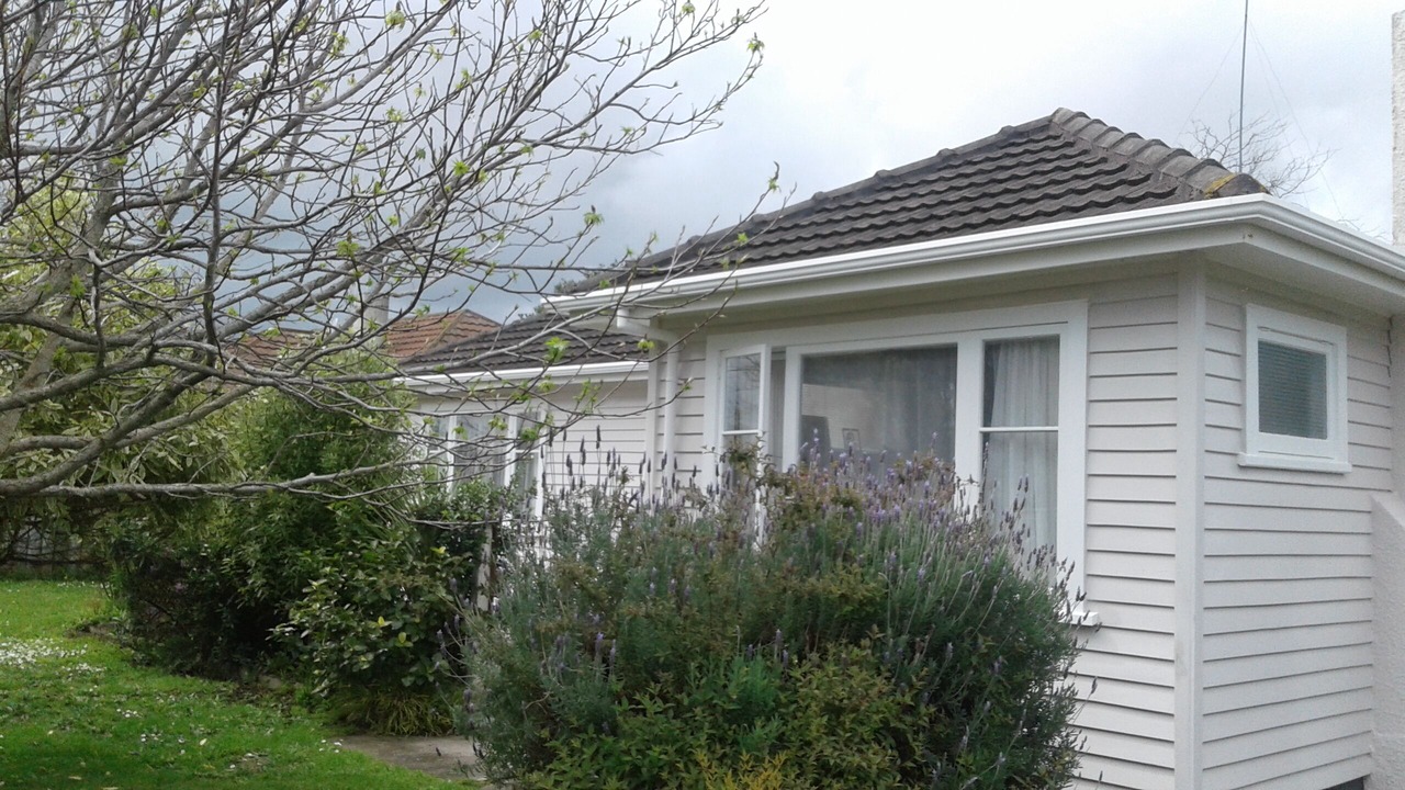 Photo of Outdoor in Otaki