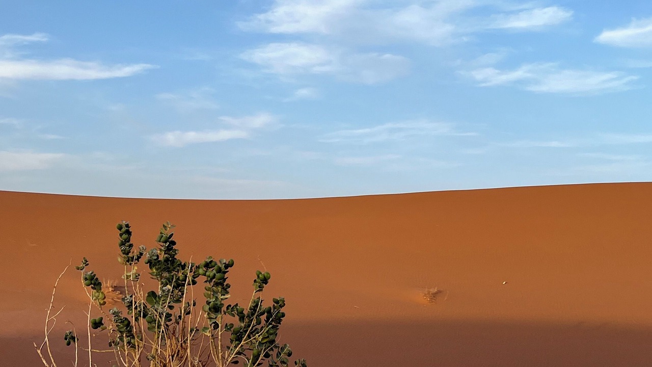 Photo of Outdoor in Zagora
