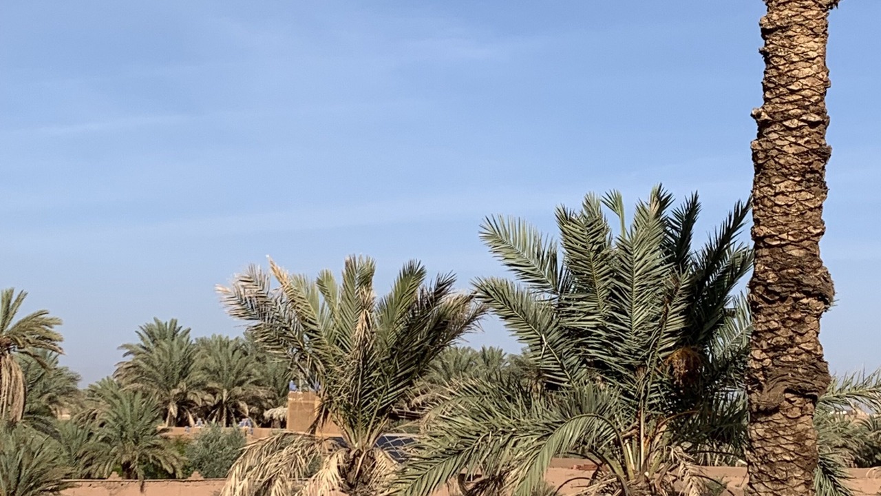 Photo of Patio Balcony in Zagora