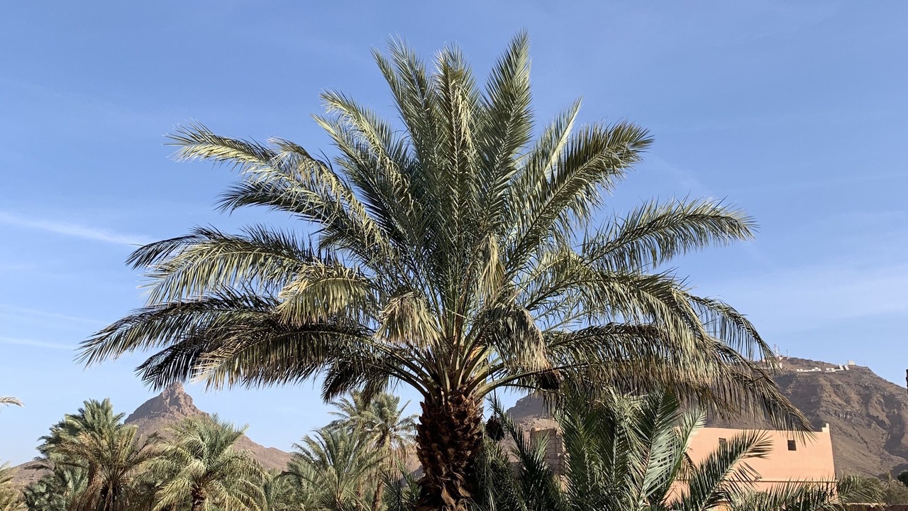 Photo of Patio Balcony in Zagora