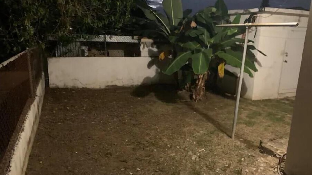 Photo of Outdoor in Mayaguez Pueblo