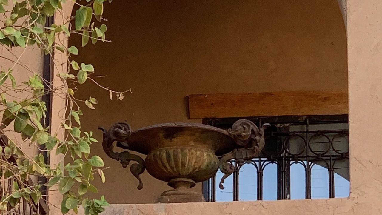 Photo of Outdoor in Tadighoust