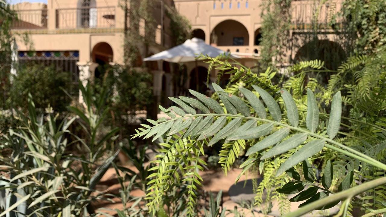 Photo of Outdoor in Tadighoust