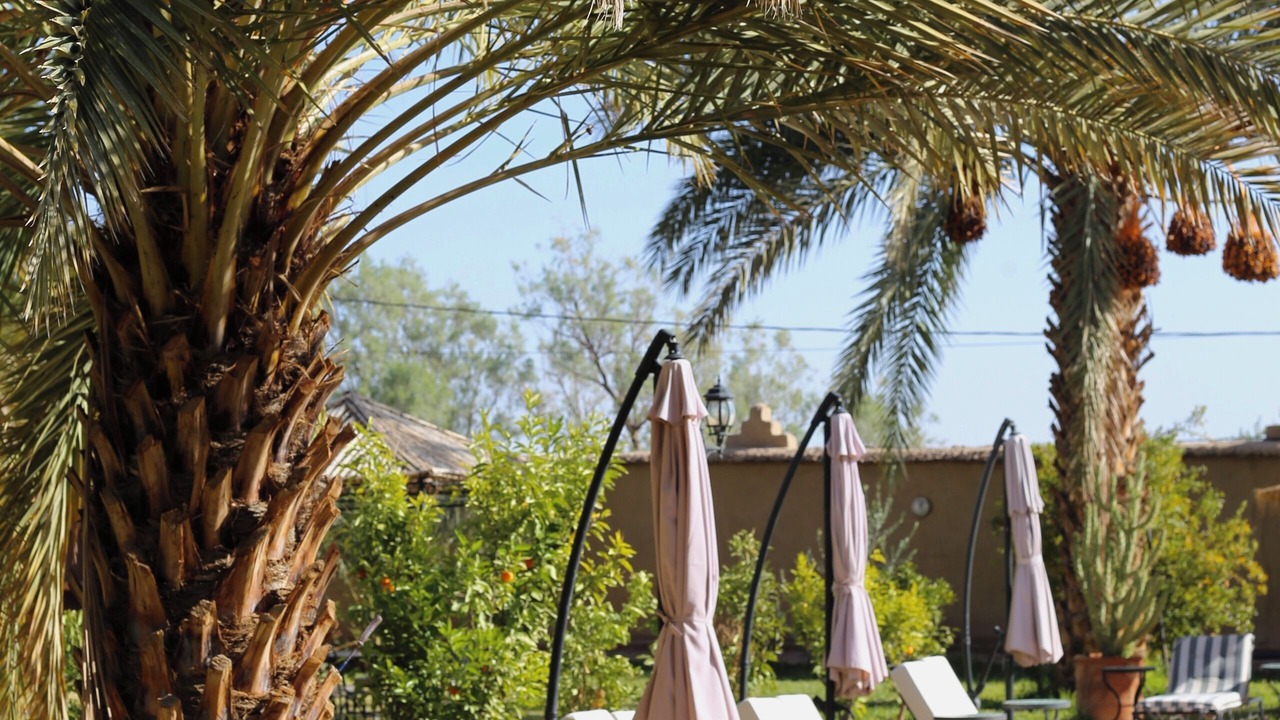 Photo of Outdoor in Skoura