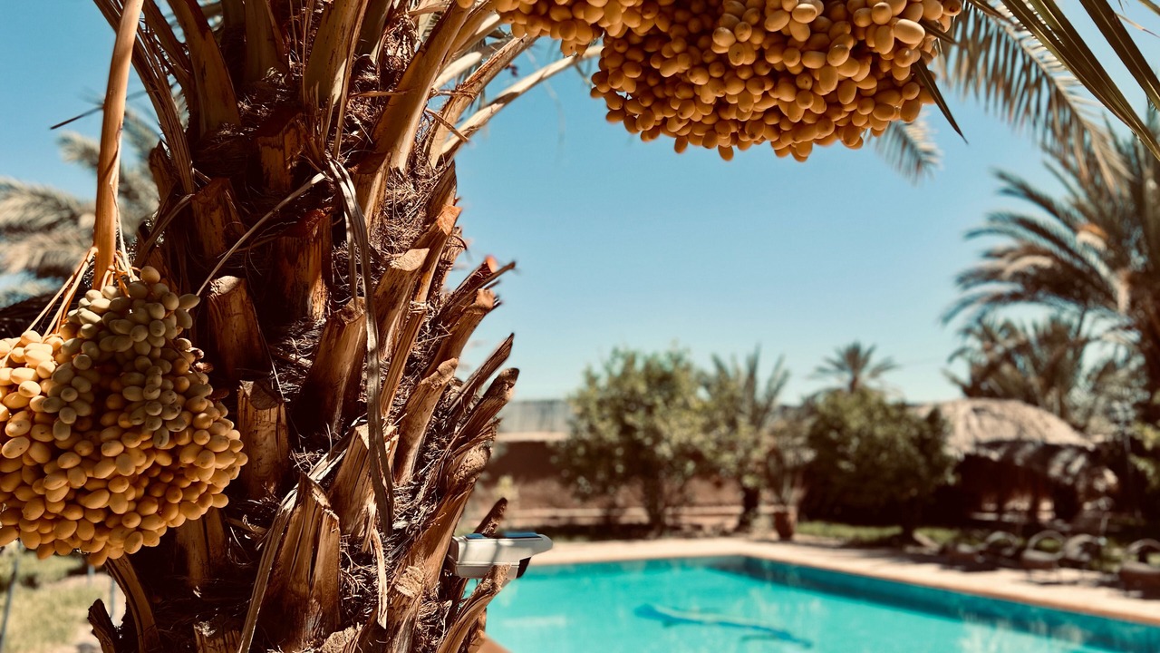 Photo of Outdoor in Skoura