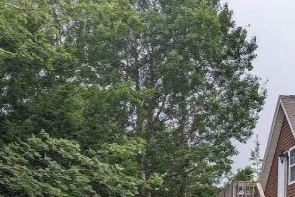 Photo of Outdoor in Halifax County