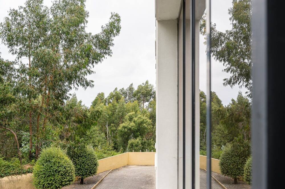 Photo of Outdoor in Mozelos