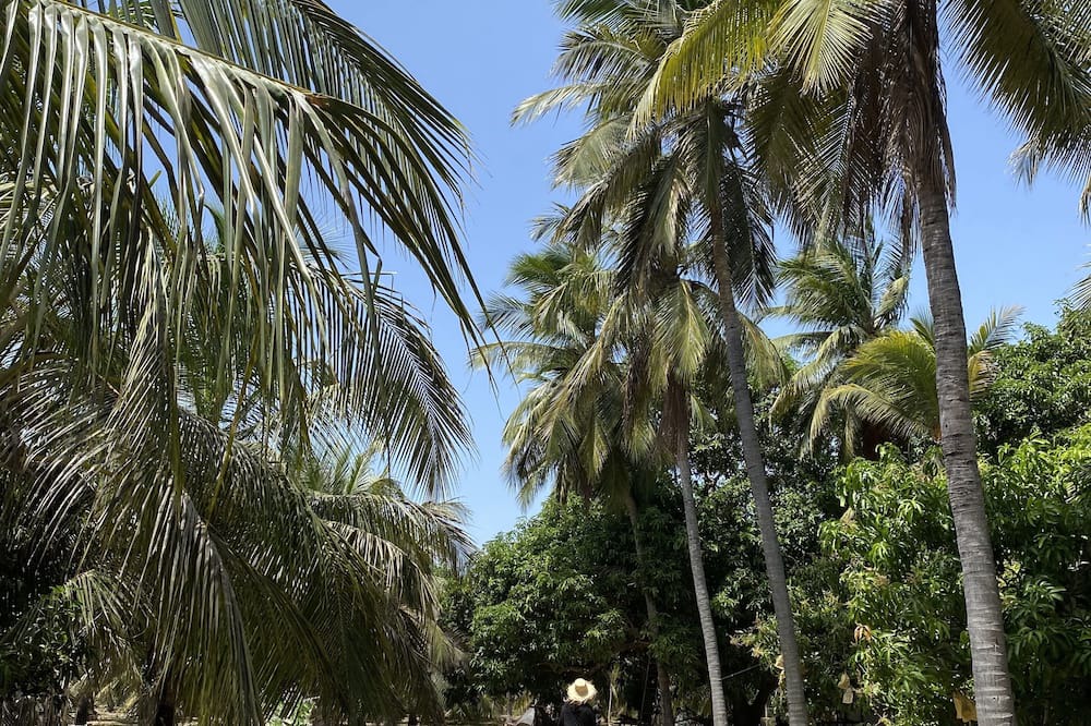 Photo of Outdoor in Koralai Pattu North