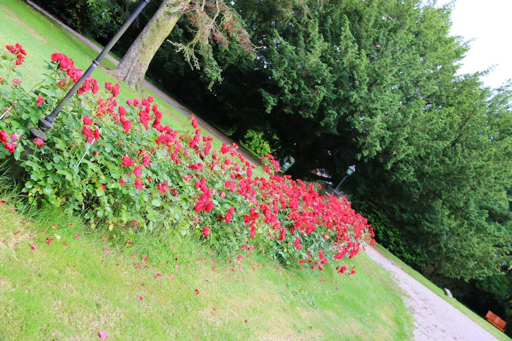 Photo of Outdoor in La Gaubretiere