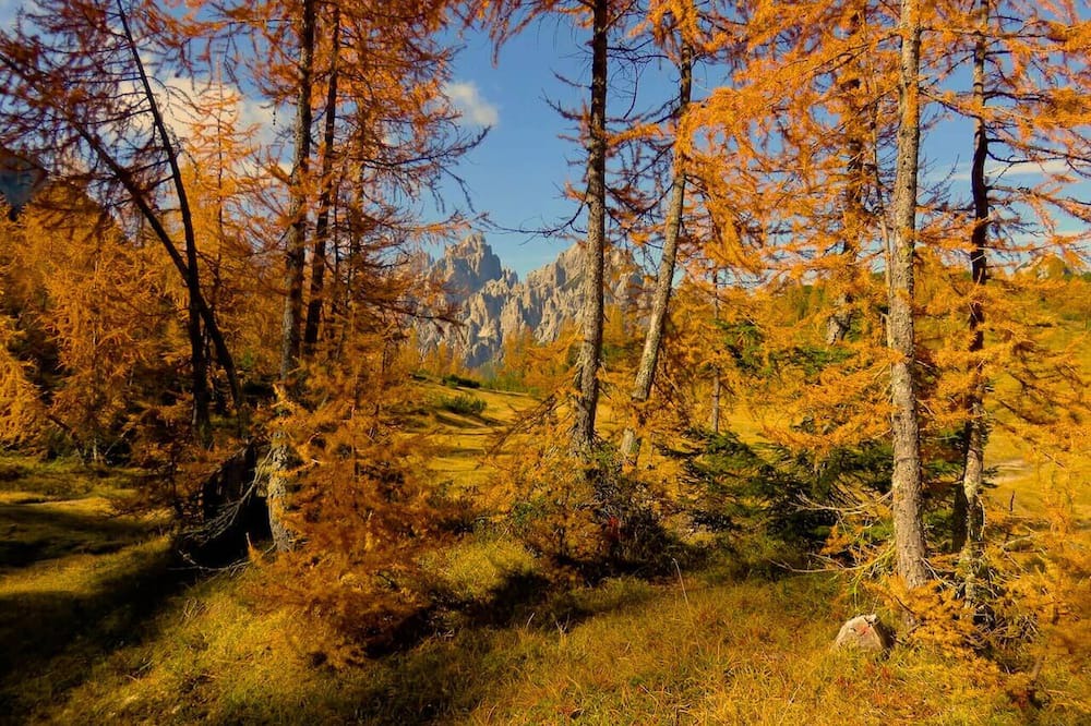 Photo of Others in Forni di Sopra