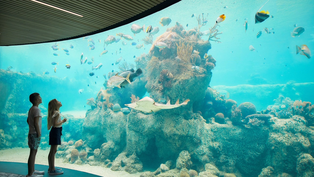 Photo of Others in Daydream Island