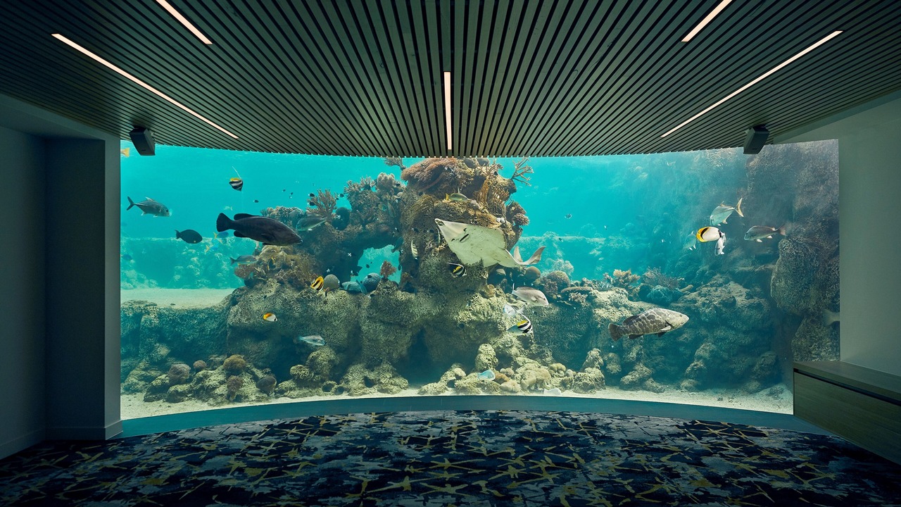 Photo of Others in Daydream Island