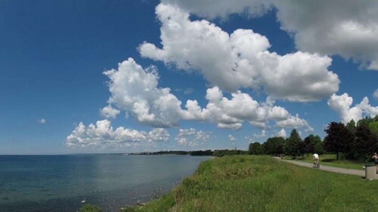 Photo of Others in Ajax