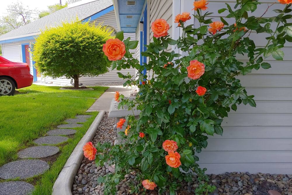 Photo of Outdoor in North Spokane