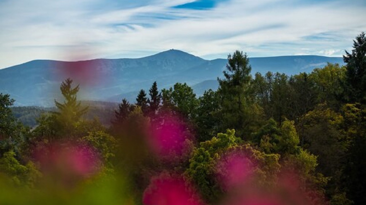 Photo of Others in Jelenia Gora