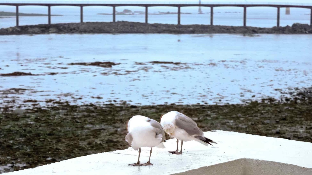 Photo of Outdoor in Roscoff