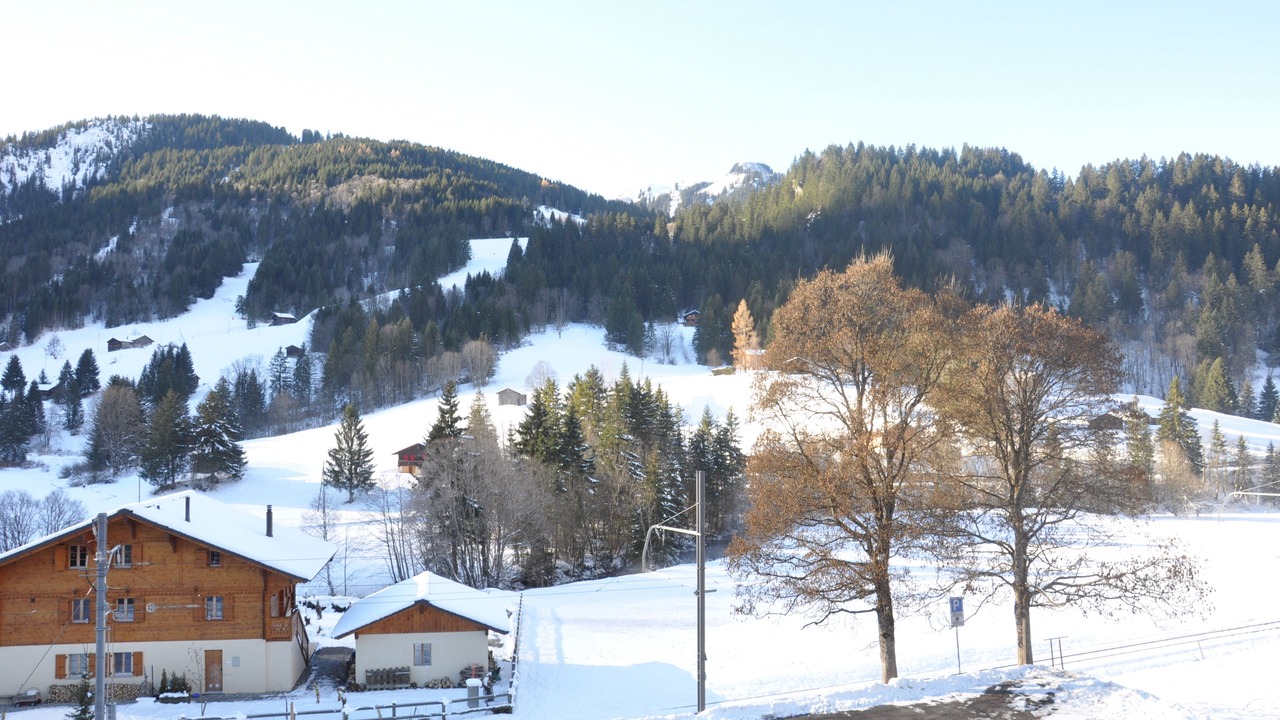 Photo of Others in Ormont-Dessus