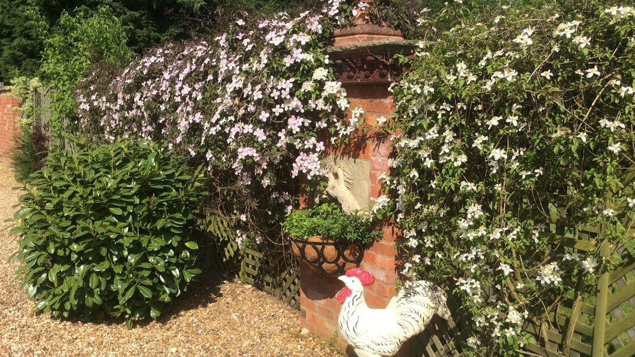 Photo of Bathroom in Manton