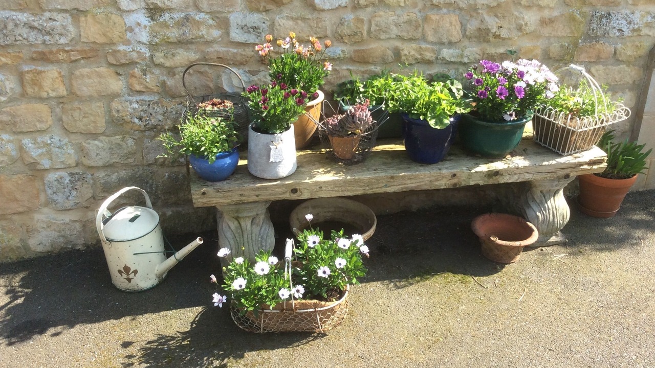 Photo of Bathroom in Manton