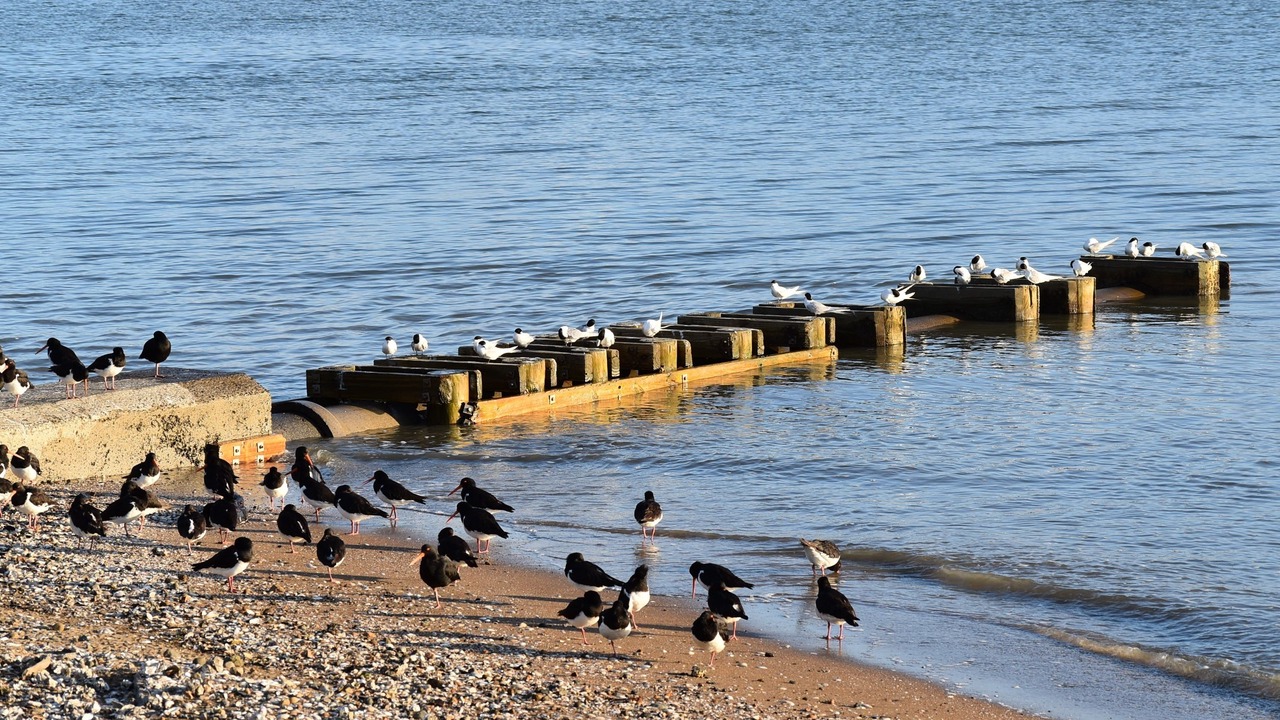 Photo of Others in Thames