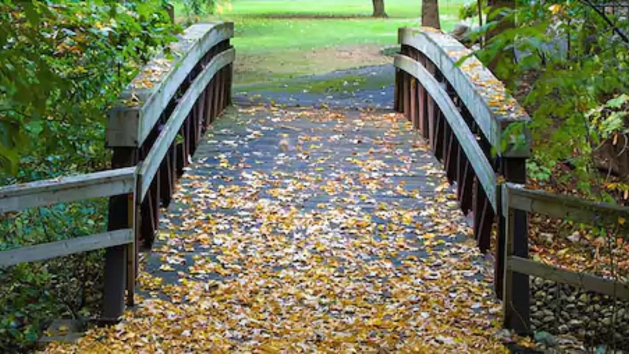 Photo of Outdoor in London