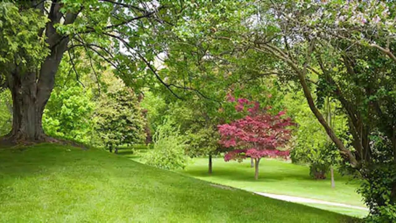 Photo of Outdoor in London